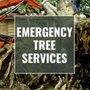 Deep Roots Tree Service