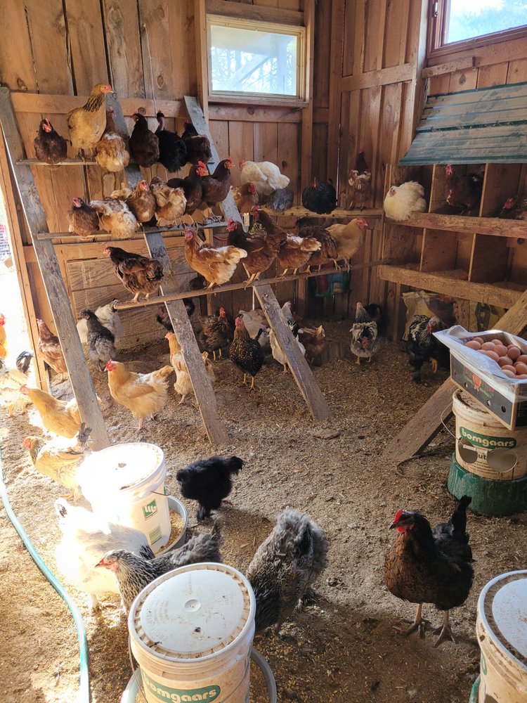 ODOM POULTRY FARM Updated June 2024 26979 SD Hwy 89, Hot Springs