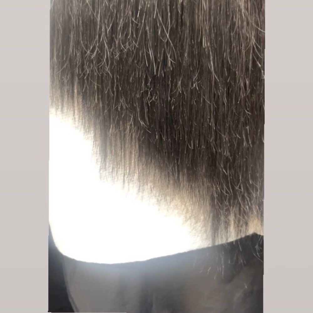Root and Mane - Hair Salons Near Me - Silver Spring, Maryland Root and Mane - Hair Salons Near Me - Silver Spring, Maryland