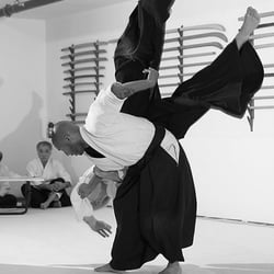 Potomac Aikikai