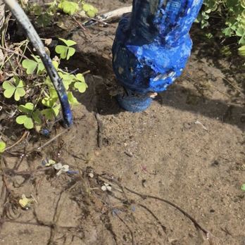 Gator Tankless - Water Heater Installation/Repair Near Me - Oakland, California