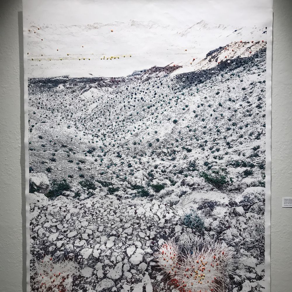 Riverside Art Museum - Art Schools Near Me - Riverside, California