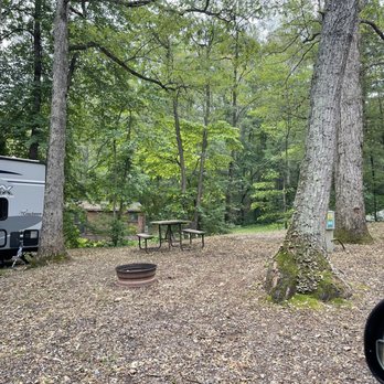 Yogi Bear's Jellystone Park - Between these 4 trees is camp site 80. - Campgrounds Near Me - Luray, Virginia Yogi Bear's Jellystone Park - Between these 4 trees is camp site 80. - Campgrounds Near Me - Luray, Virginia