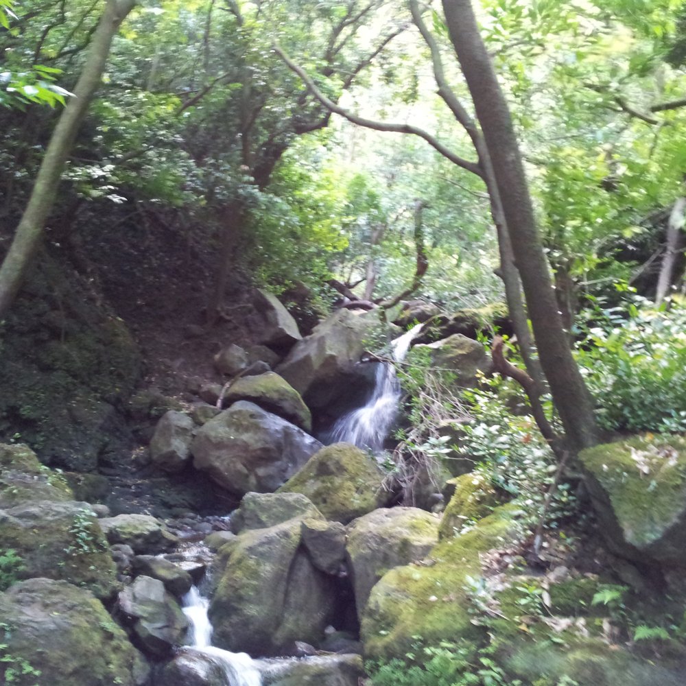 Lulumahu Falls - Hiking Near Me - Honolulu, Hawaii