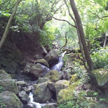 Lulumahu Falls - Hiking Near Me - Honolulu, Hawaii Lulumahu Falls - Hiking Near Me - Honolulu, Hawaii