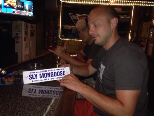 Sly Mongoose by null