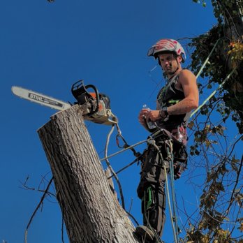 North Star Climbing - Tree Services Near Me - Landrum, South Carolina North Star Climbing - Tree Services Near Me - Landrum, South Carolina