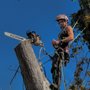 North Star Climbing