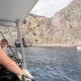 Sea Stallion Scuba Outfitters