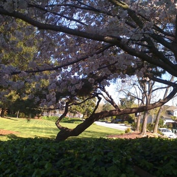 Ortega Park - Parks Near Me - Sunnyvale, California Ortega Park - Parks Near Me - Sunnyvale, California