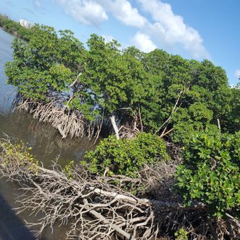 Anne Kolb Nature Center - Parks Near Me - Hollywood, Florida