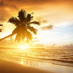 Paradise Transport & Luggage Services