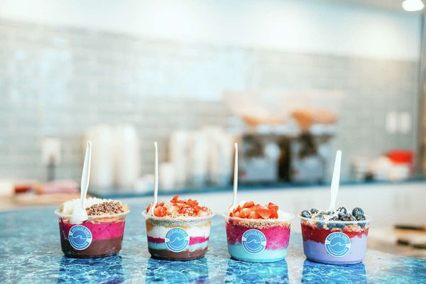 Nautical Bowls by null