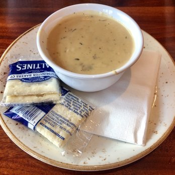 Clear Sky Cafe - Wild Mushroom Soup - New American Near Me - Clearwater, Florida Clear Sky Cafe - Wild Mushroom Soup - New American Near Me - Clearwater, Florida