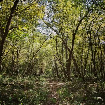 Murphy-Hanrehan Park Reserve - Parks Near Me - Savage, Minnesota Murphy-Hanrehan Park Reserve - Parks Near Me - Savage, Minnesota