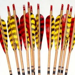 Traditional Archery Supply - Traditional Arrows