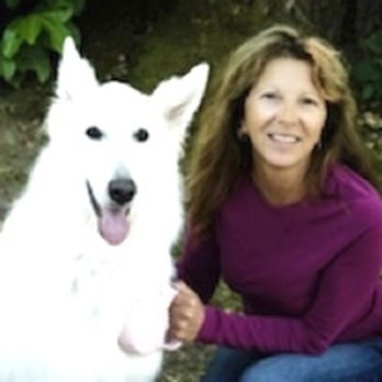 Fido and Fluffy Pet Care - Pet Sitting Near Me - Seattle, Washington Fido and Fluffy Pet Care - Pet Sitting Near Me - Seattle, Washington