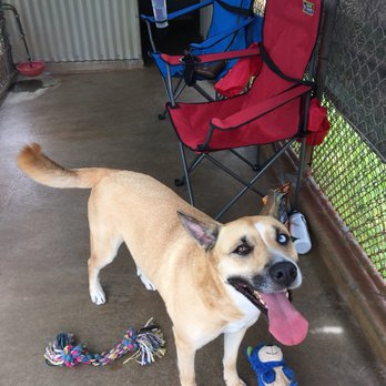Animal Quarantine - About half way in... - Public Services & Government Near Me - Aiea, Hawaii Animal Quarantine - About half way in... - Public Services & Government Near Me - Aiea, Hawaii