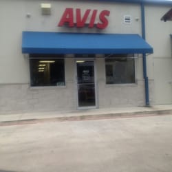 Avis