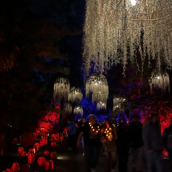 Harvest Nights at Newfields - Festivals Near Me - Indianapolis, Indiana