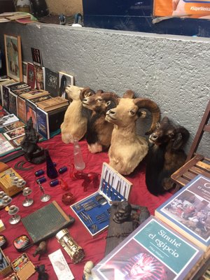 La Lagunilla Sunday Antiques Market by null