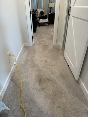 Top Standard Facility Services on Yelp