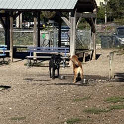 Valley Street Dog Park