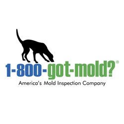 1-800-GOT-MOLD?