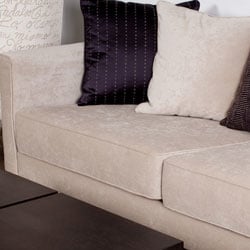 Organic Carpet Care