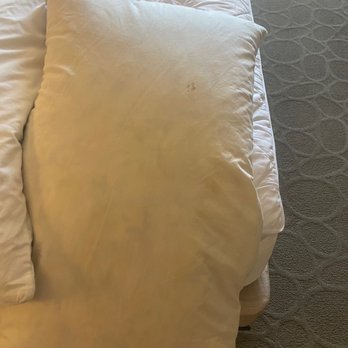 Delta Hotels by Marriott Chesapeake Norfolk - The bed was made with the previous guest sheets!!! - Hotels Near Me - Chesapeake, Virginia Delta Hotels by Marriott Chesapeake Norfolk - The bed was made with the previous guest sheets!!! - Hotels Near Me - Chesapeake, Virginia