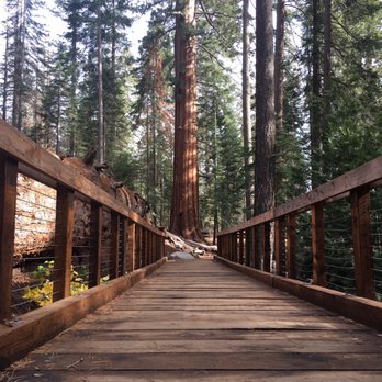 Trail of 100 Giants - Hiking Near Me - Springville, California Trail of 100 Giants - Hiking Near Me - Springville, California