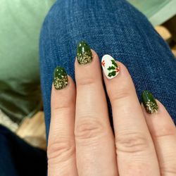 Elegant Nails & Spa - Dec 2023 nails