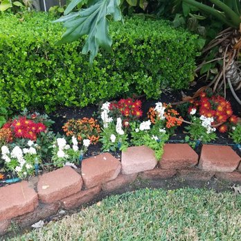 Texas Outdoor Services - Fall Colors - Pool Cleaners Near Me - Katy, Texas