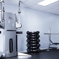 Evolution Fitness