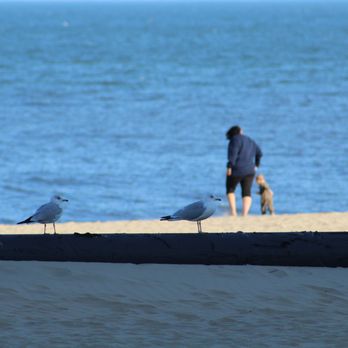 Virginia Beach - Beaches Near Me
