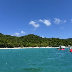 Virgin Islands Ecotours - Mangens bay