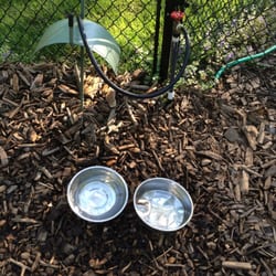 East Longmeadow Bark Park - Water station