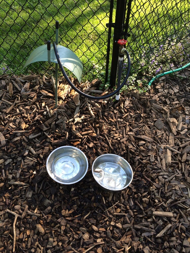 EAST LONGMEADOW BARK PARK Updated October 2024 16 Photos 336374