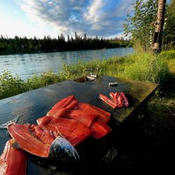 Joy’s Kenai River Cabins