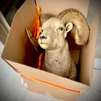 Dedicated Deliveries - Couriers & Delivery Services Near Me