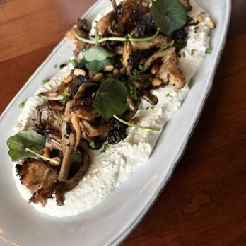 Roya - Wild Mushroom Borani - Middle Eastern Near Me - Austin, Texas Roya - Wild Mushroom Borani - Middle Eastern Near Me - Austin, Texas