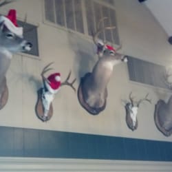 They got the Christmas spirit