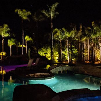 Azaleawood - Expansive view of up lit mature palms in background and pool in foreground - Landscaping Near Me - Vista, California Azaleawood - Expansive view of up lit mature palms in background and pool in foreground - Landscaping Near Me - Vista, California