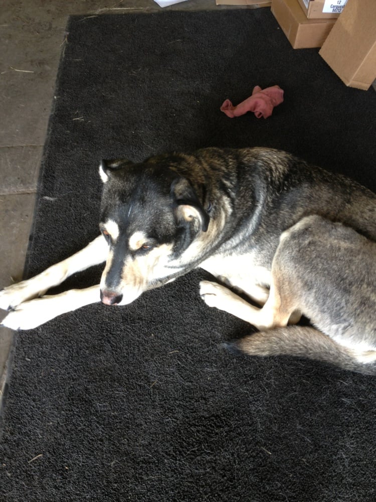 ABLE AUTO Updated October 2024 4257 S Hwy 89, Jackson, Wyoming