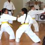 Photo of America's Finest Shotokan Karate