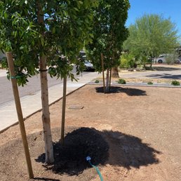 Moon Valley Nursery Moon Valley Nursery