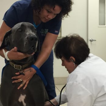 Case Veterinary Hospital - Veterinarians Near Me - Savannah, Georgia