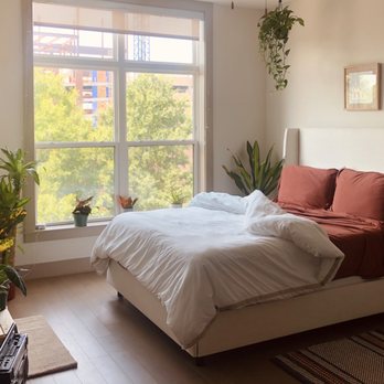 Camden Gallery Apartments - Apartments Near Me - Charlotte, North Carolina