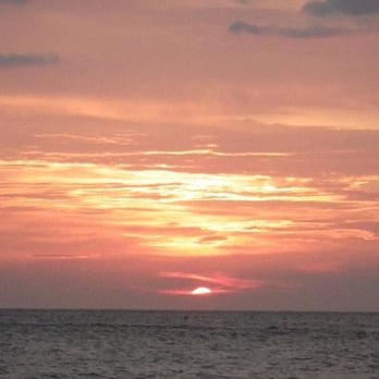 Gumbo Limbo - HH - Seafood Near Me - Naples, Florida