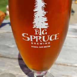 Amber ale